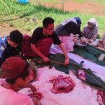 Para santri sedang memotong hewan qurban setelah di sembelih, Foto; Firdaus