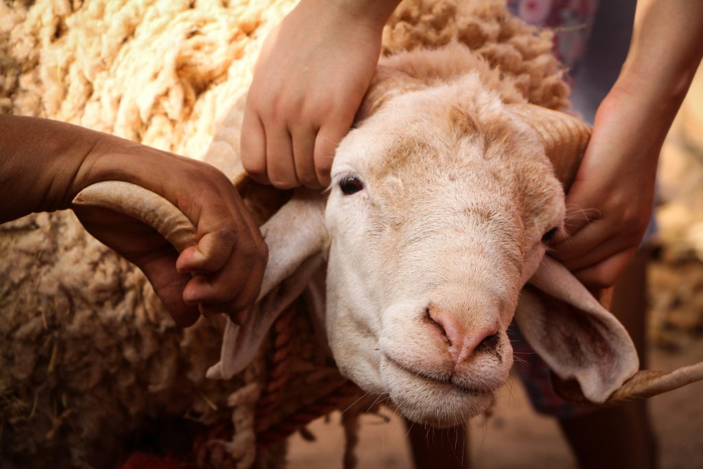 Foto oleh Mouaadh Tobok di Unsplash