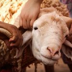 Foto oleh Mouaadh Tobok di Unsplash